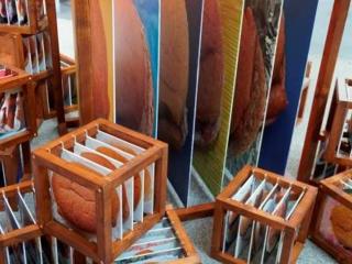 The Sausage Atlas by Andrew Towse in Kirkgate Market Food Hall