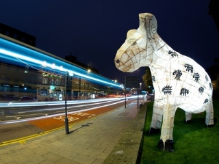 Arthur the Sheep by the Ribblehead Group as part of Flock, for Light Night 2010